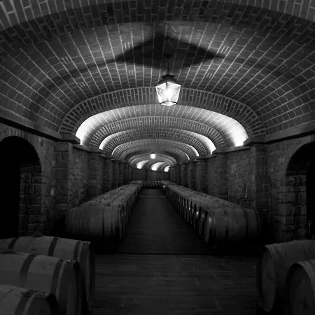 La Bellavista Toscana Daire Certaldo